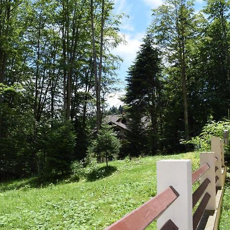 Alpin Residence シナヤ エクステリア 写真