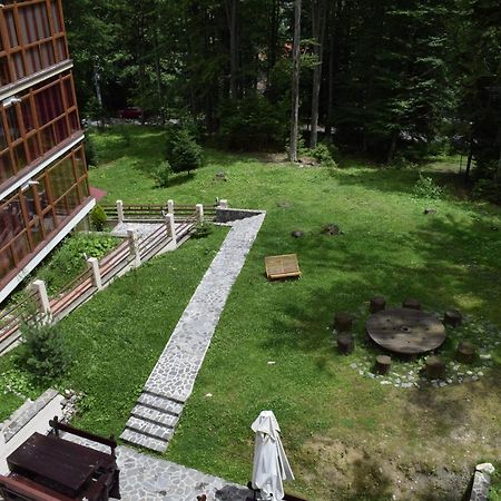 Alpin Residence シナヤ エクステリア 写真