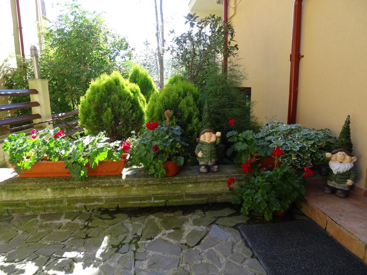 Alpin Residence シナヤ エクステリア 写真
