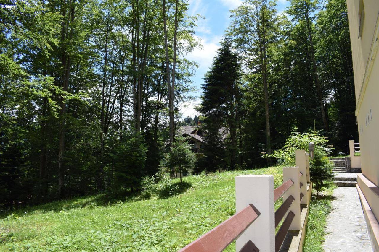 Alpin Residence シナヤ エクステリア 写真